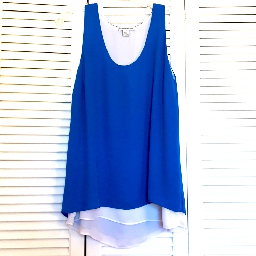 Dalia Collection Blue and White Top